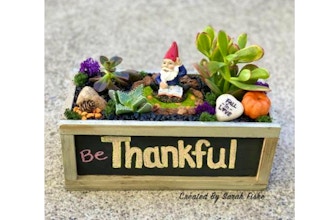 Plant Nite: Gnome Fall Garden in Chalkboard